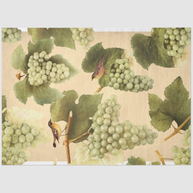 Green Grapes With Birds Tissue Paper (Front)