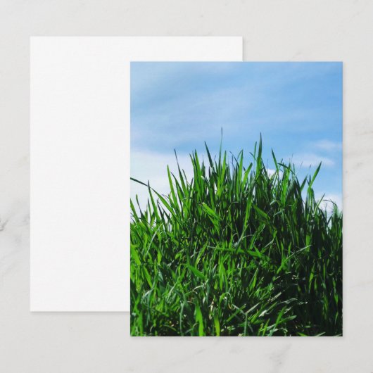 Green grass against the background of the endless  (Front/Back)