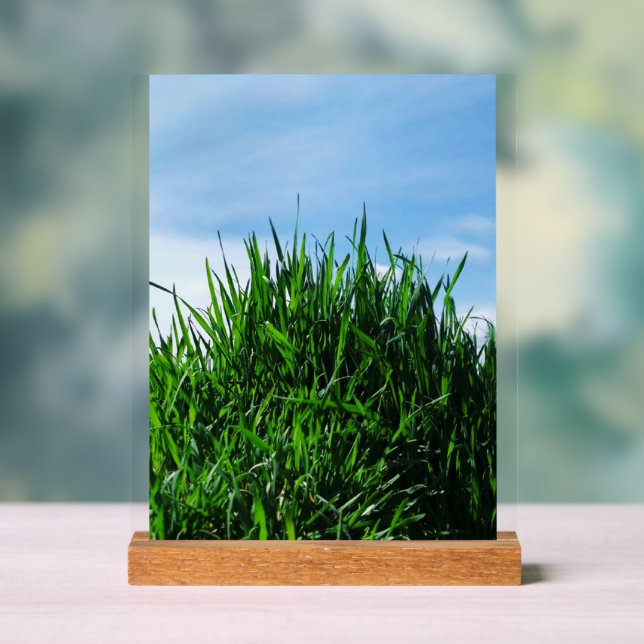 Green grass against the background of the endless  acrylic sign (Neutral)