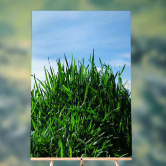 Green grass against the background of the endless acrylic sign