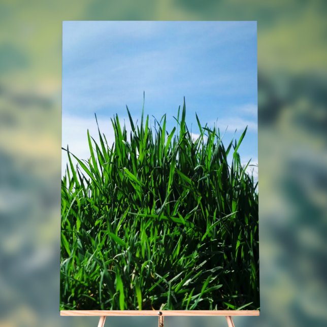 Green grass against the background of the endless  acrylic sign (Neutral)