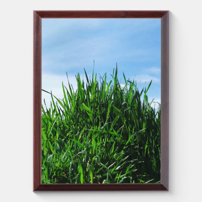 Green grass against the background of the endless  award plaque (Vertical)
