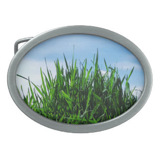 Green grass against the background of the endless  belt buckle