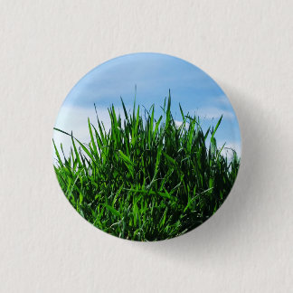 Green grass against the background of the endless  button
