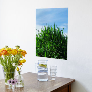 Green grass against the background of the endless foil prints