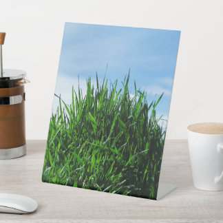 Green grass against the background of the endless  pedestal sign