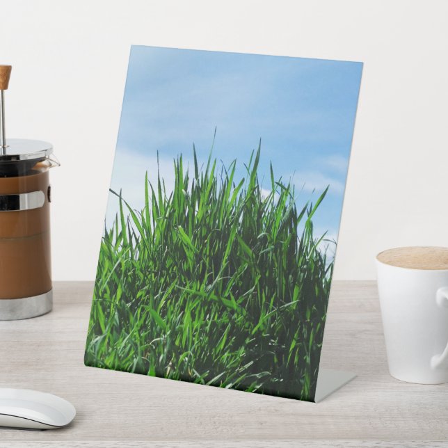 Green grass against the background of the endless  pedestal sign (In SItu)