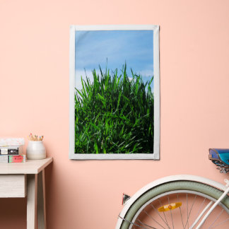 Green grass against the background of the endless pennant