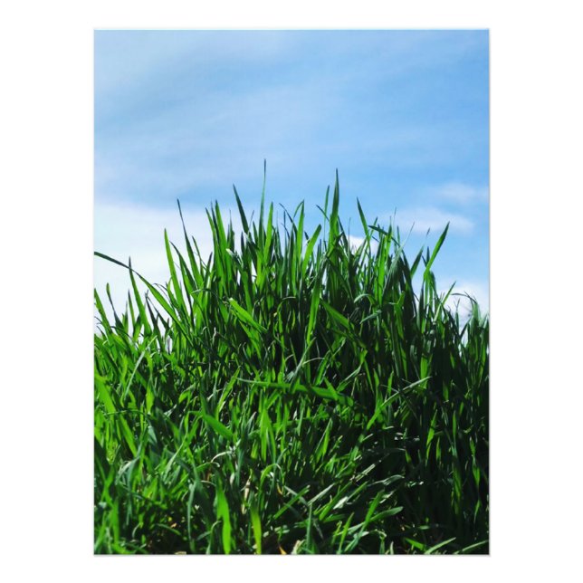 Green grass against the background of the endless  photo print (Front)