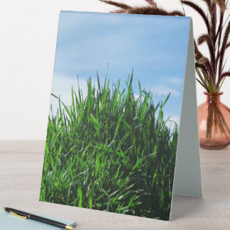 Green grass against the background of the endless  table tent