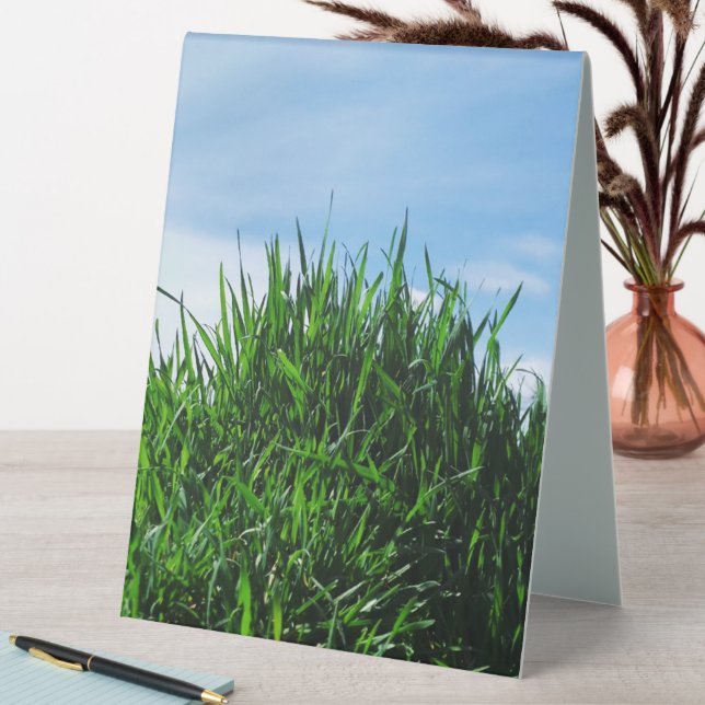 Green grass against the background of the endless  table tent (In SItu (Table))