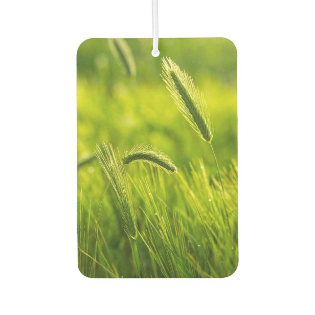 green grass air freshener (Front)