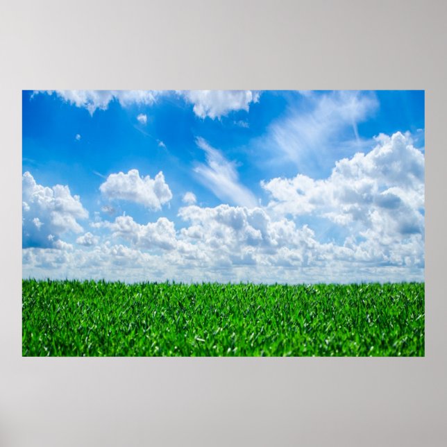 Green grass and blue sky poster (Front)