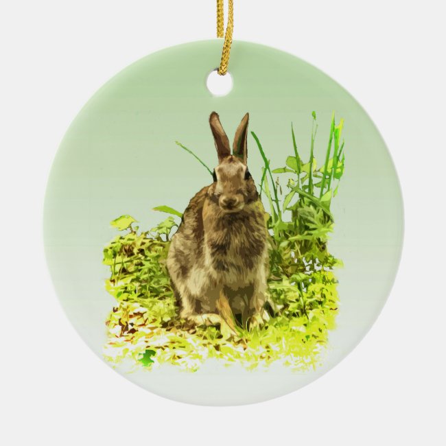 Green Grass and Brown Bunny Rabbit Ornament