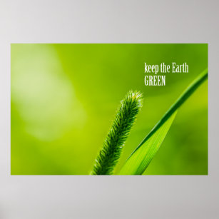 Keep Earth Green Posters Zazzle