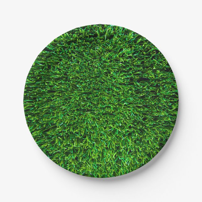 Green Grass Background Paper Plates (Front)