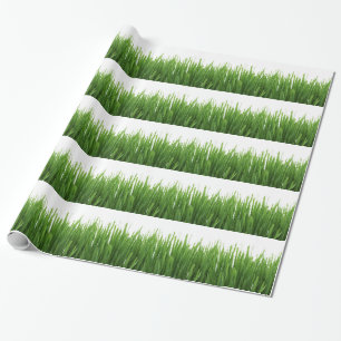 Green Grass background Wrapping Paper
