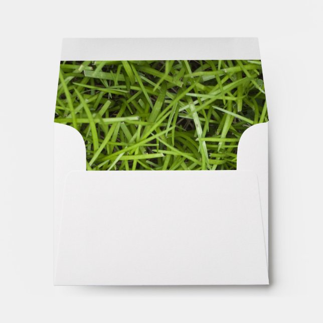 Green Grass Backyard Wedding RSVP Envelope (Back (Bottom))