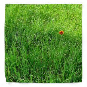 Green Grass Bandana