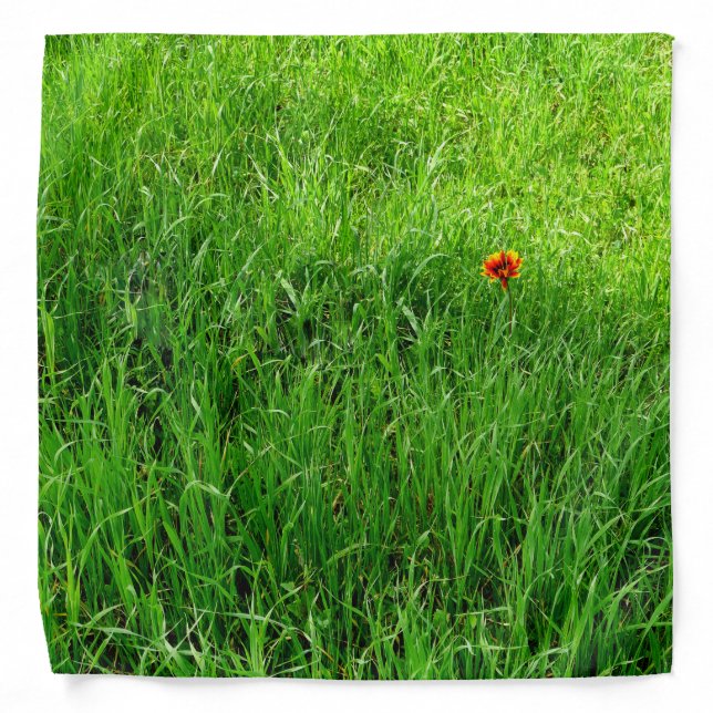 Green Grass Bandana (Front)