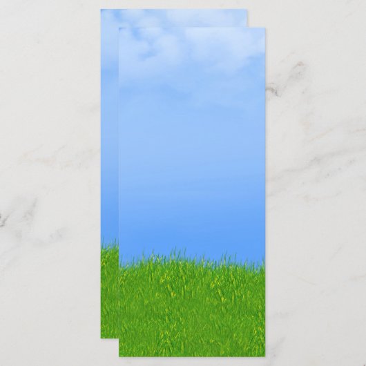 Green Grass & Blue Sky Background (Front/Back)
