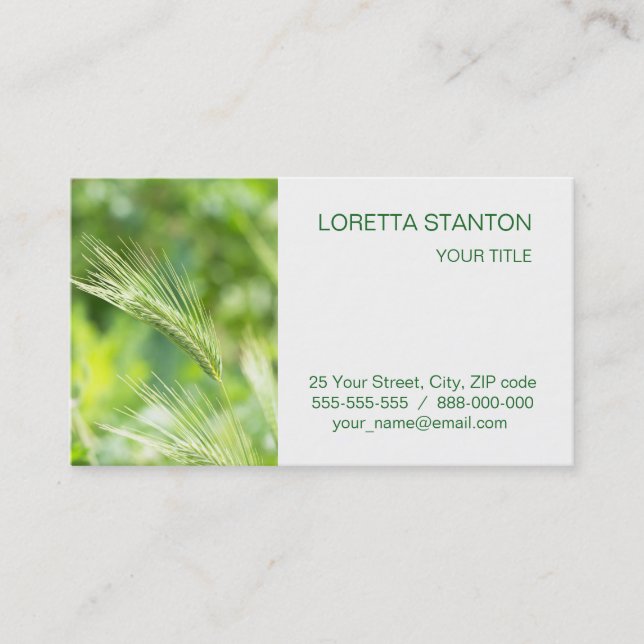 Green grass business card (Front)