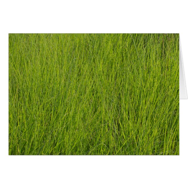 Green Grass Cards (Front Horizontal)