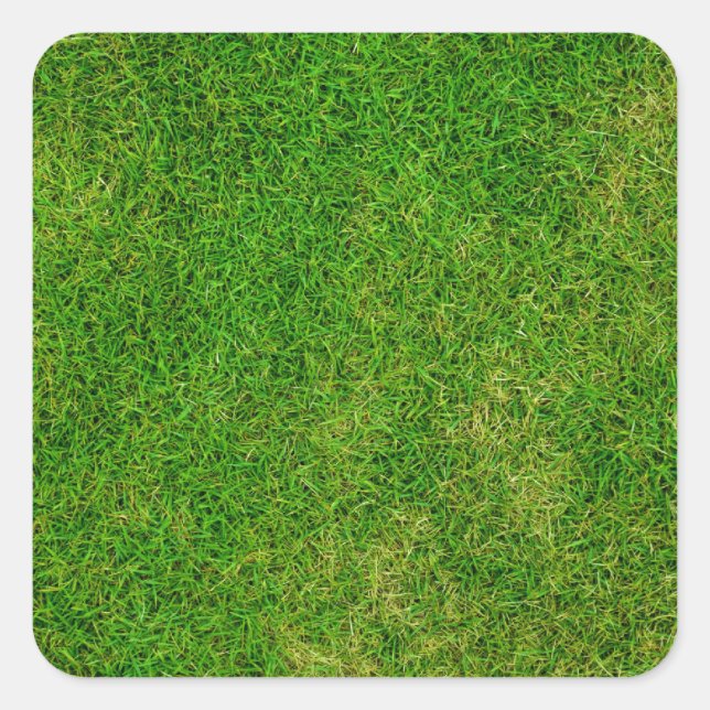 Green Grass Coasters Square Sticker (Front)