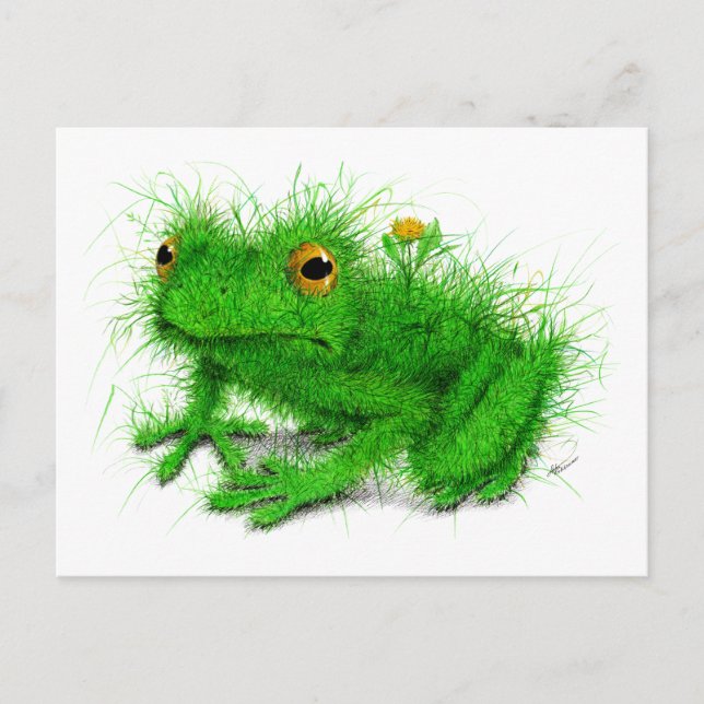 Green Grass Frog Art Postcard (Front)