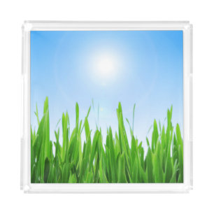 Green Grass Garden with Blue Sky Design Acrylic Tray