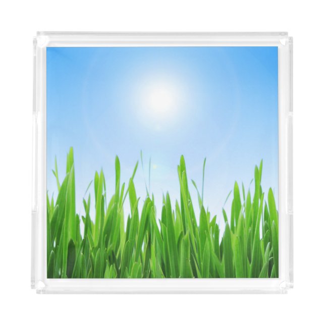 Green Grass Garden with Blue Sky Design Acrylic Tray (Front)