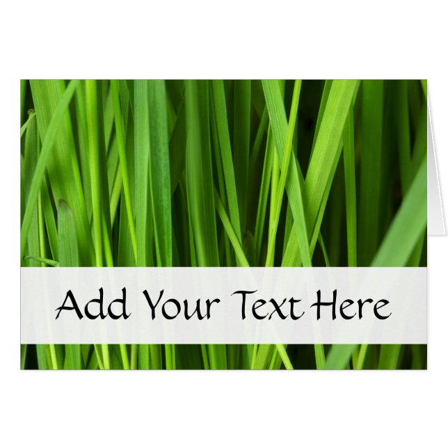 Green Grass, Grass Background, Leaf, Leaves, Plant Cards (Front Horizontal)