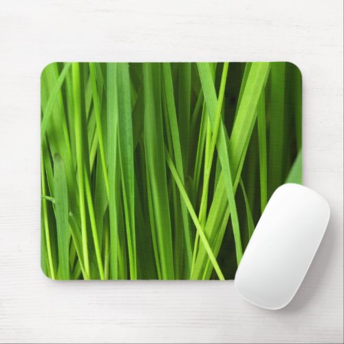 Green Grass Grass Background Leaf Leaves Plant Mouse Pad