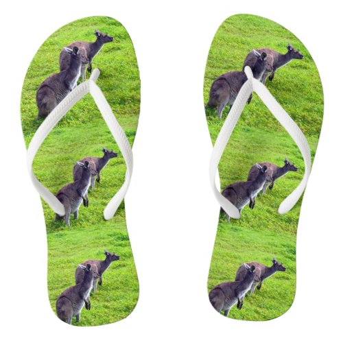 Green Grass Kangaroos Flip Flops