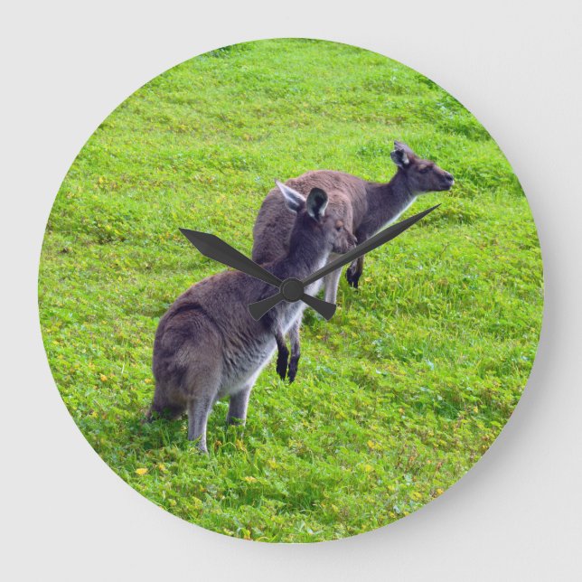 Green Grass Kangaroos, Wall Clock (Front)