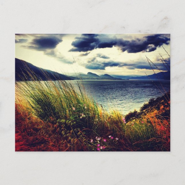 Green Grass Lake Dark Clouds Postcard (Front)