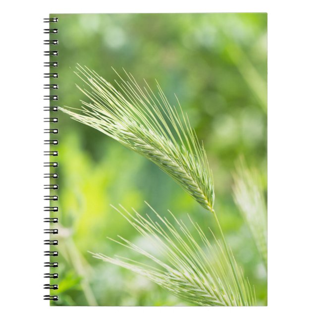 Green grass notebook (Front)