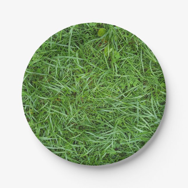 green grass paper plates (Front)