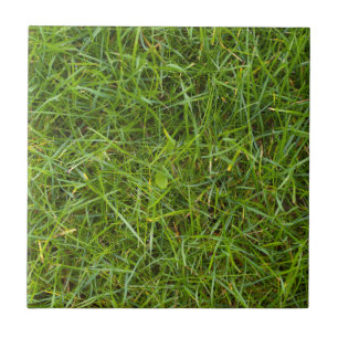 Green Grass Pattern Tile