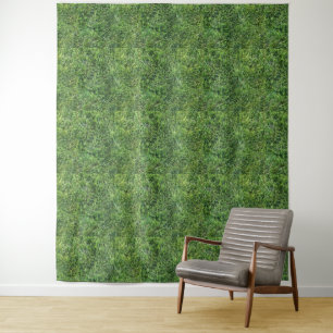 Green grass real photo texture pattern backdrop