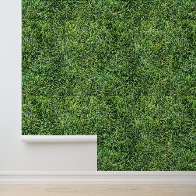 Green grass real photo texture pattern backdrop wallpaper  (Application)