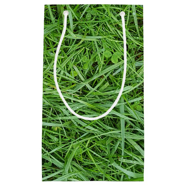 Green Grass Small Gift Bag (Front)