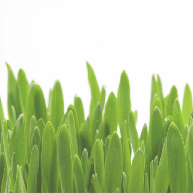 Green Grass Sticker (Front)