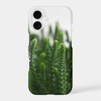 Green Grass Succulent Grass Plant Close-up Photo iPhone 17 Case