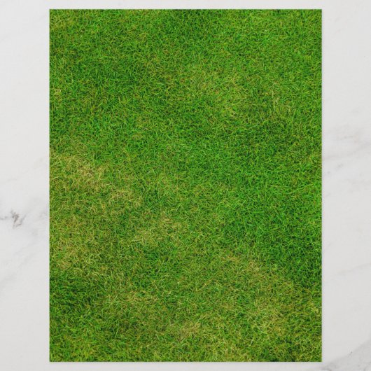 Green Grass Texture (Front)
