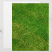 Green Grass Texture (Front/Back)