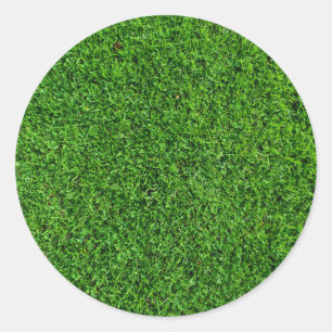 Green Grass Texture Classic Round Sticker
