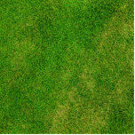 Green Grass Texture Cutout<br><div class="desc">Green grass texture photo. Great green grass background for many great products and templates. Add your own text and personalize these gifts with monograms and custom texts. Make them truly unique!</div>