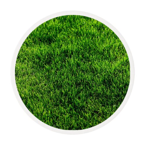Green grass texture from a soccer field edible frosting rounds