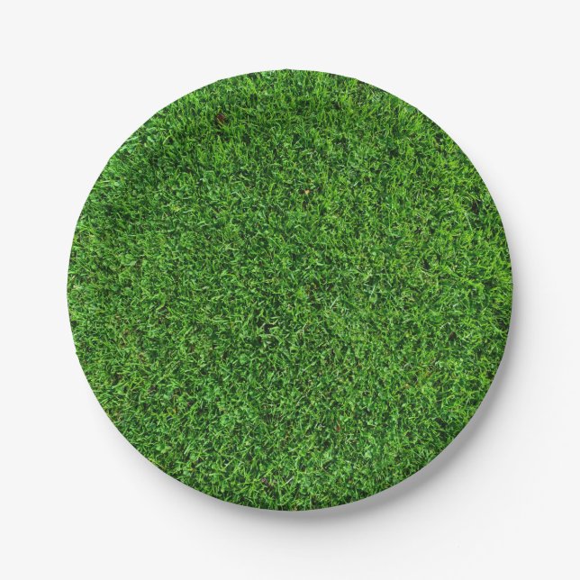 Green Grass Texture Paper Plates (Front)
